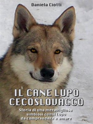 cover image of Il Cane Lupo Cecoslovacco--Storia di una meravigliosa simbiosi con il lupo da comprendere e amare